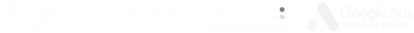 Google Ads, Meta, TikTok, Microsoft Ads Partner